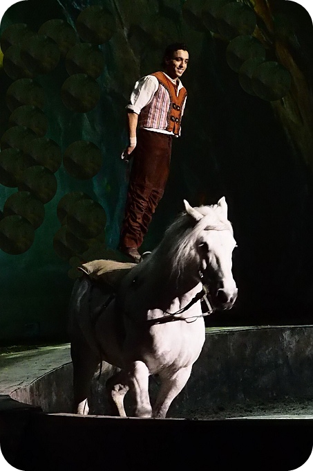 【表演】Cavalia 卡瓦利亞夢幻舞馬，打破力與美的極限，重新定義人與馬的關係 @捲捲頭 ♡ 品味生活