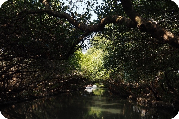 台南四草綠色隧道，乘坐竹筏一起漫遊水上綠色河道！ @捲捲頭 ♡ 品味生活
