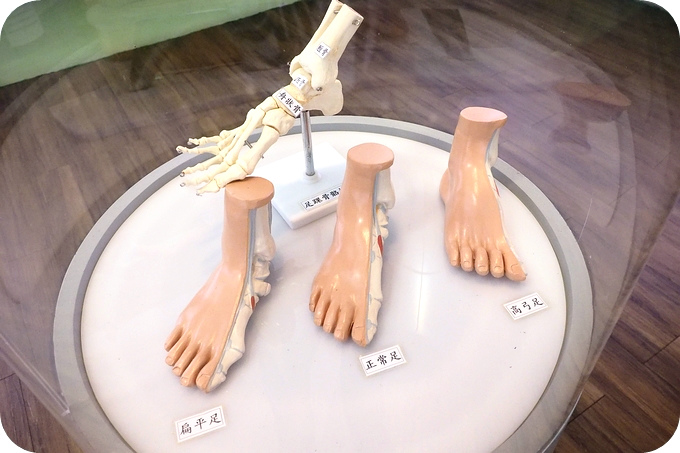 【宜蘭觀光工廠】有彩繪小石膏腳、專屬健康鞋墊DIY、好玩的足骨拼圖，保証「足」滿意！&#128099;台灣足鞋健康知識館&#128099; @捲捲頭 ♡ 品味生活