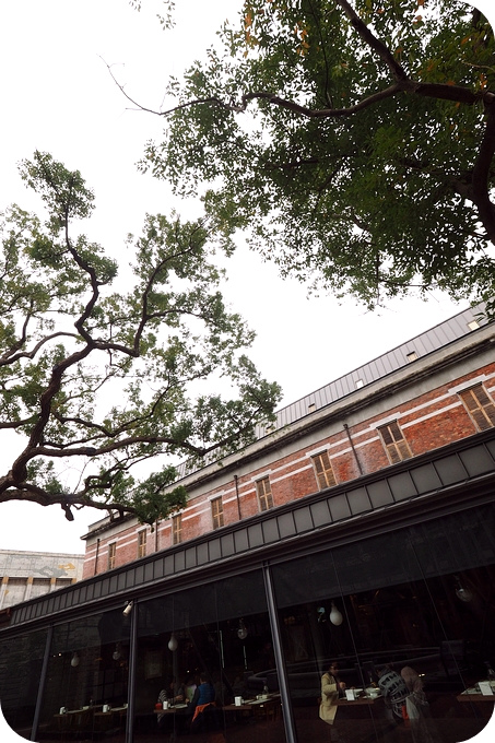 台北景點⎪充滿綠意的樟樹，老建築群，古色古香的紅樓荷造場x小白宫。歷史加美食，很好逛的地方！ @捲捲頭 ♡ 品味生活