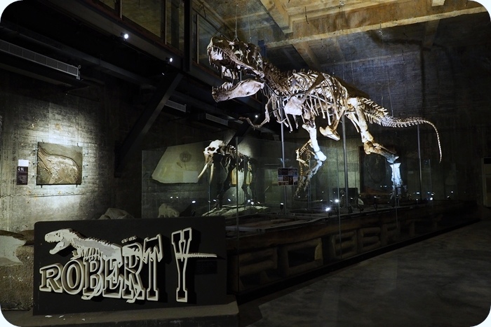 【宜蘭】Robert Y廢墟瘋狂夢想藝術園區，廢墟風博物館有白堊紀暴龍化石，恐龍迷不可錯過! @捲捲頭 ♡ 品味生活