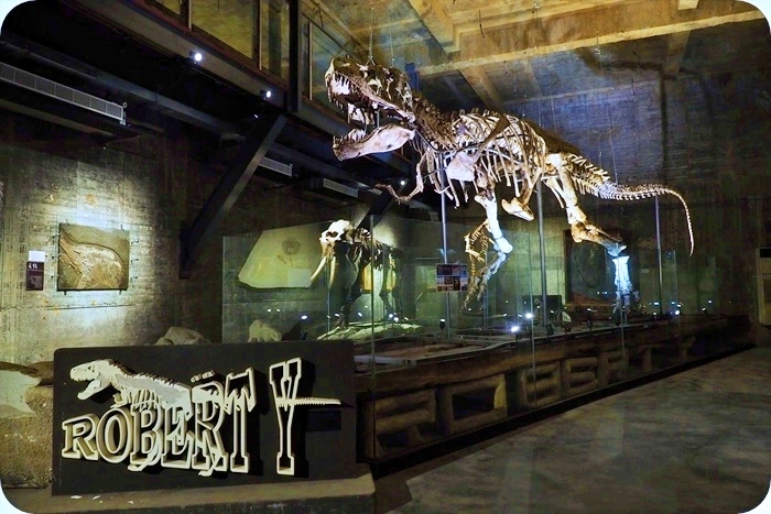 【宜蘭】Robert Y廢墟瘋狂夢想藝術園區，廢墟風博物館有白堊紀暴龍化石，恐龍迷不可錯過! @捲捲頭 ♡ 品味生活