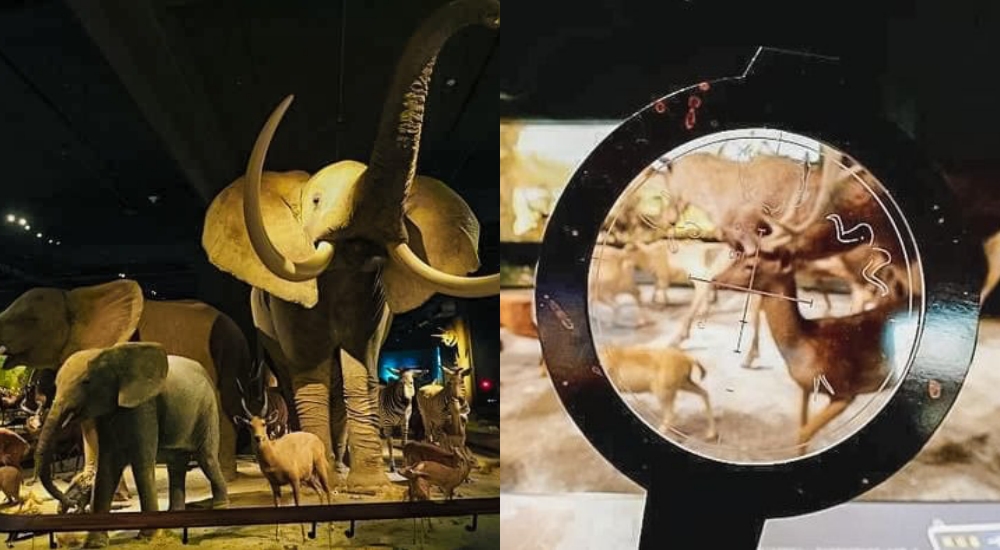 台南 》奇美博物館實境遊戲「穹頂計畫」！ 化身尋寶獵人一起來解開12道博物館謎題！ @捲捲頭 ♡ 品味生活