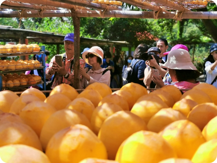 新竹景點⎪味衛佳柿餅觀光農場。季節限定的金黃色美味柿餅、夢幻黃澄澄的柿子海，還有必吃的柿子冰棒！ @捲捲頭 ♡ 品味生活