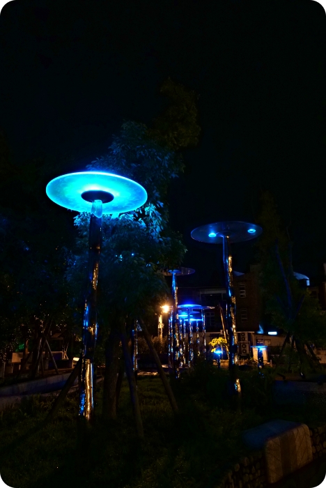 歡迎來到阿凡達世界⎪夜晚點燈一秒進入潘朵拉星球，冷泉公園大變身！ @捲捲頭 ♡ 品味生活