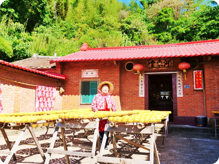 新竹景點⎪味衛佳柿餅觀光農場。季節限定的金黃色美味柿餅、夢幻黃澄澄的柿子海，還有必吃的柿子冰棒！ @捲捲頭 ♡ 品味生活