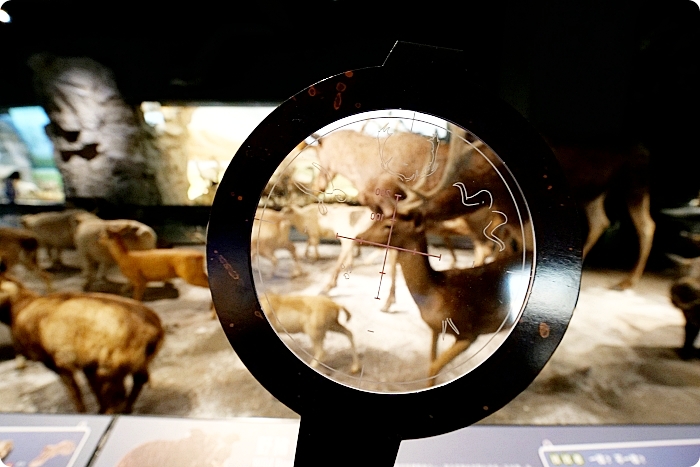 台南奇美博物館實境遊戲「穹頂計畫」， 化身尋寶獵人一起來解開12道博物館謎題！ @捲捲頭 ♡ 品味生活