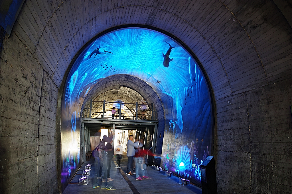 蘇東隧道，發現螢光海底隧道，最新3D深海網美景點，停車＆駐車廣場 @捲捲頭 ♡ 品味生活