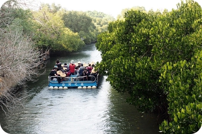 台南四草綠色隧道，乘坐竹筏一起漫遊水上綠色河道！ @捲捲頭 ♡ 品味生活