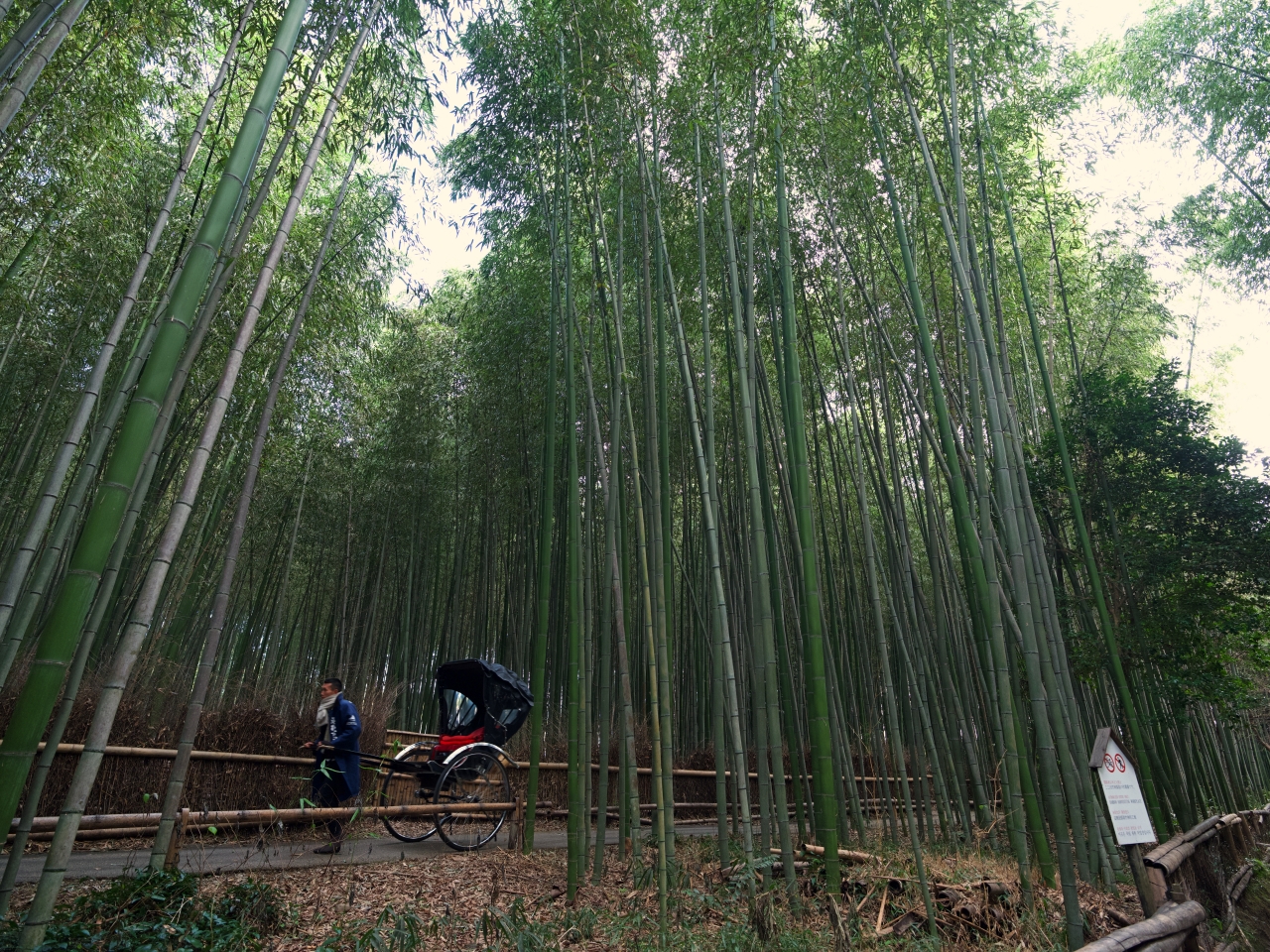 京都嵐山|竹林小徑、渡月橋，清涼寺半日遊，景點、交通、美食全攻略 @捲捲頭 ♡ 品味生活