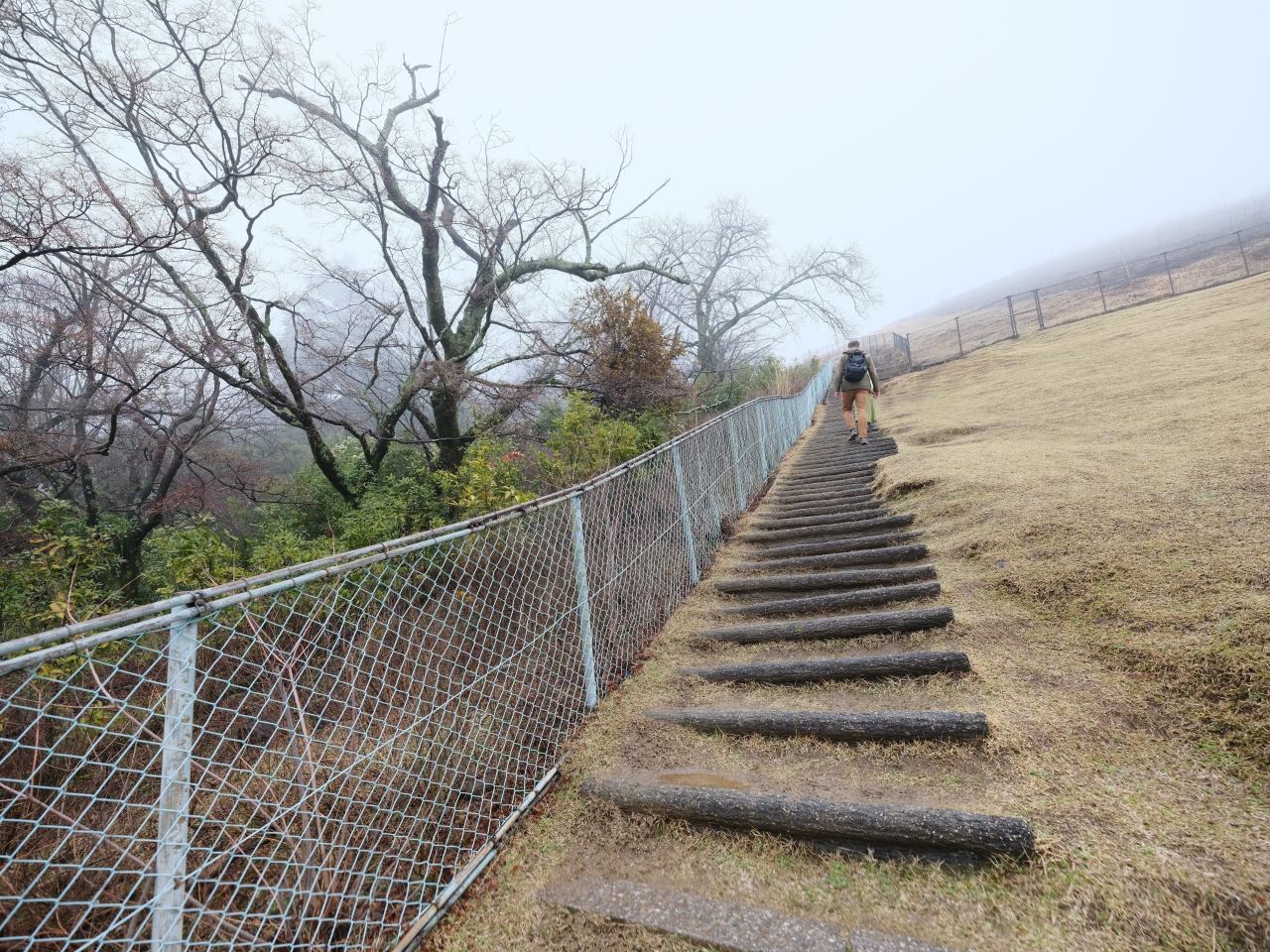 奈良景點【若草山】最平易近人的登山步道，零距離餵食野生小鹿～ @捲捲頭 ♡ 品味生活