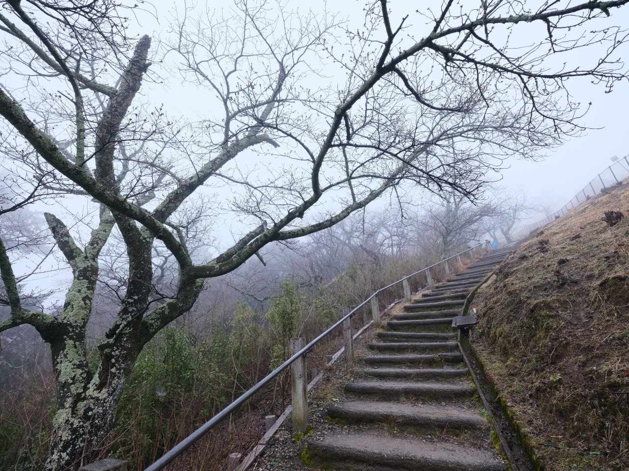 奈良景點【若草山】最平易近人的登山步道，零距離餵食野生小鹿～ @捲捲頭 ♡ 品味生活