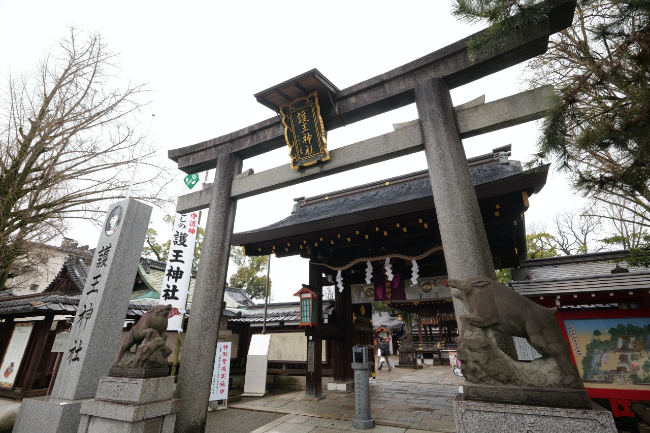 京都【護王神社】可愛山豬神社，還能收藏可愛的豬神籤～ @捲捲頭 ♡ 品味生活