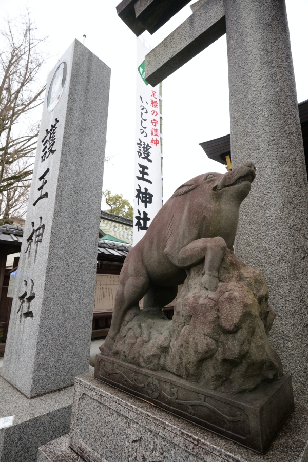 京都【護王神社】可愛山豬神社，還能收藏可愛的豬神籤～ @捲捲頭 ♡ 品味生活