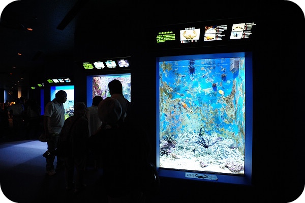 【沖繩景點】美ら海水族館。漫遊在室內最大水族箱裡～ @捲捲頭 ♡ 品味生活