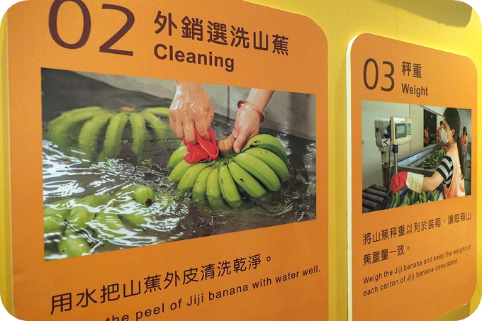 集元果觀光工廠，認識山蕉，體驗有特色的採種蕉苗DIY！ @捲捲頭 ♡ 品味生活
