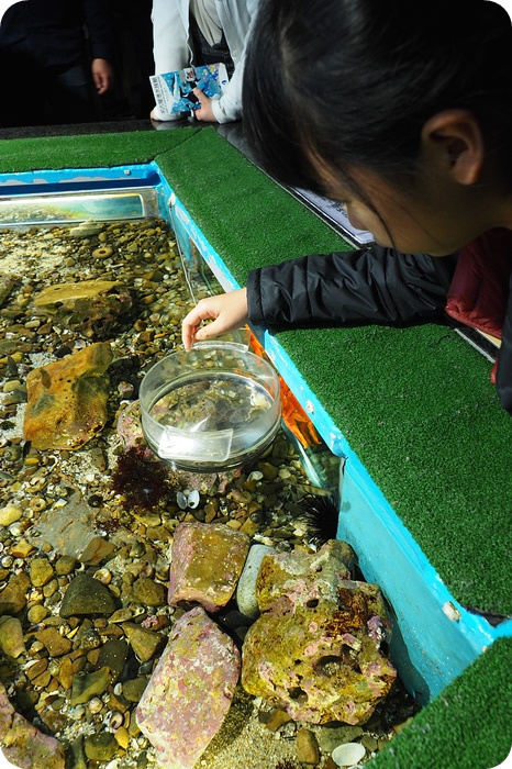 日本名古屋水族館，有點貴，但又想進去看看的水族館 @捲捲頭 ♡ 品味生活