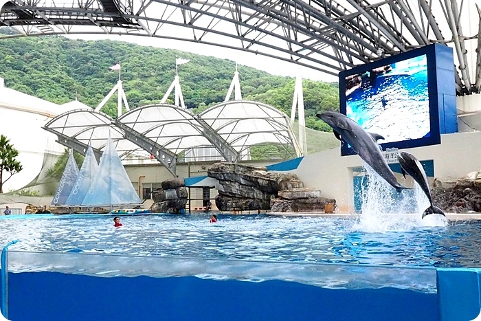花蓮景點⎪ 坐纜車玩碰碰船看海豚海獅表演秀，一票到底，還能近距離慢慢欣賞各種奇妙的海洋生物。遠雄海洋公園。 @捲捲頭 ♡ 品味生活