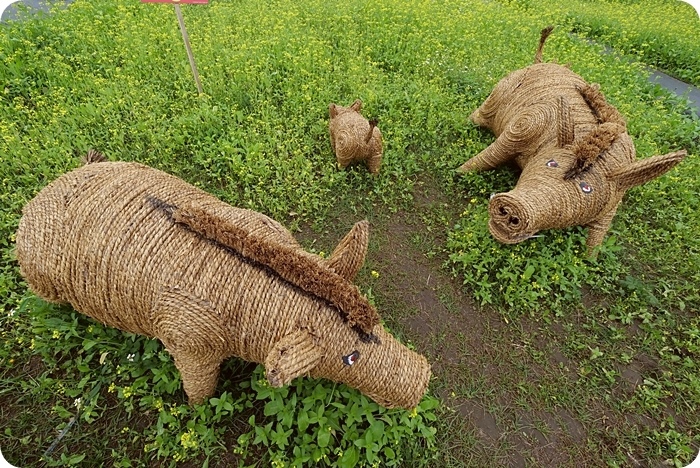 富里稻草藝術節，現身田野間的稻草動物園！超狂六米高銀背猩猩，巨型松鼠，黃金山豬。快來拍一波！！！ @捲捲頭 ♡ 品味生活